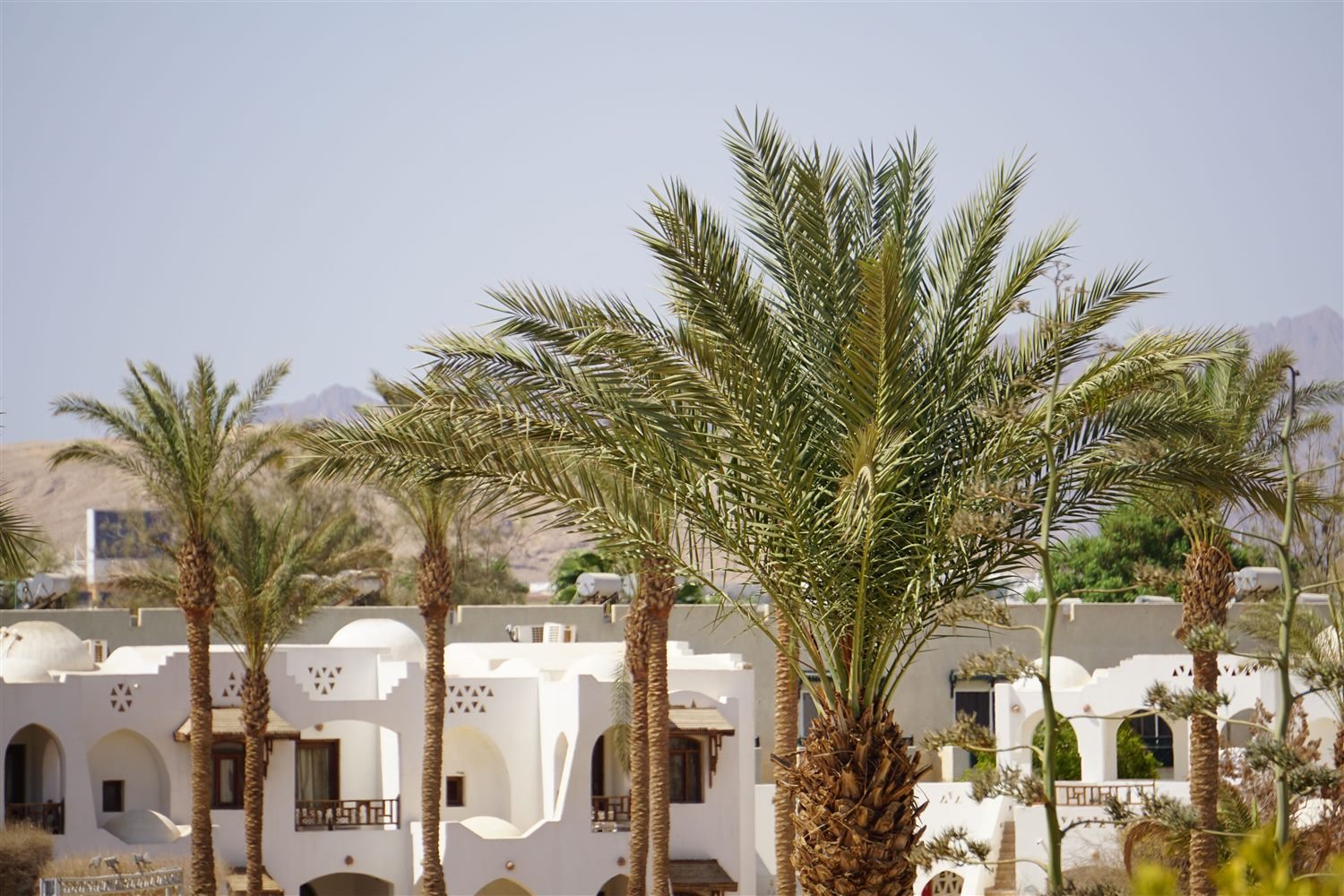 7 Nights 3★ Economy Umrah - view of accommodation and Haram